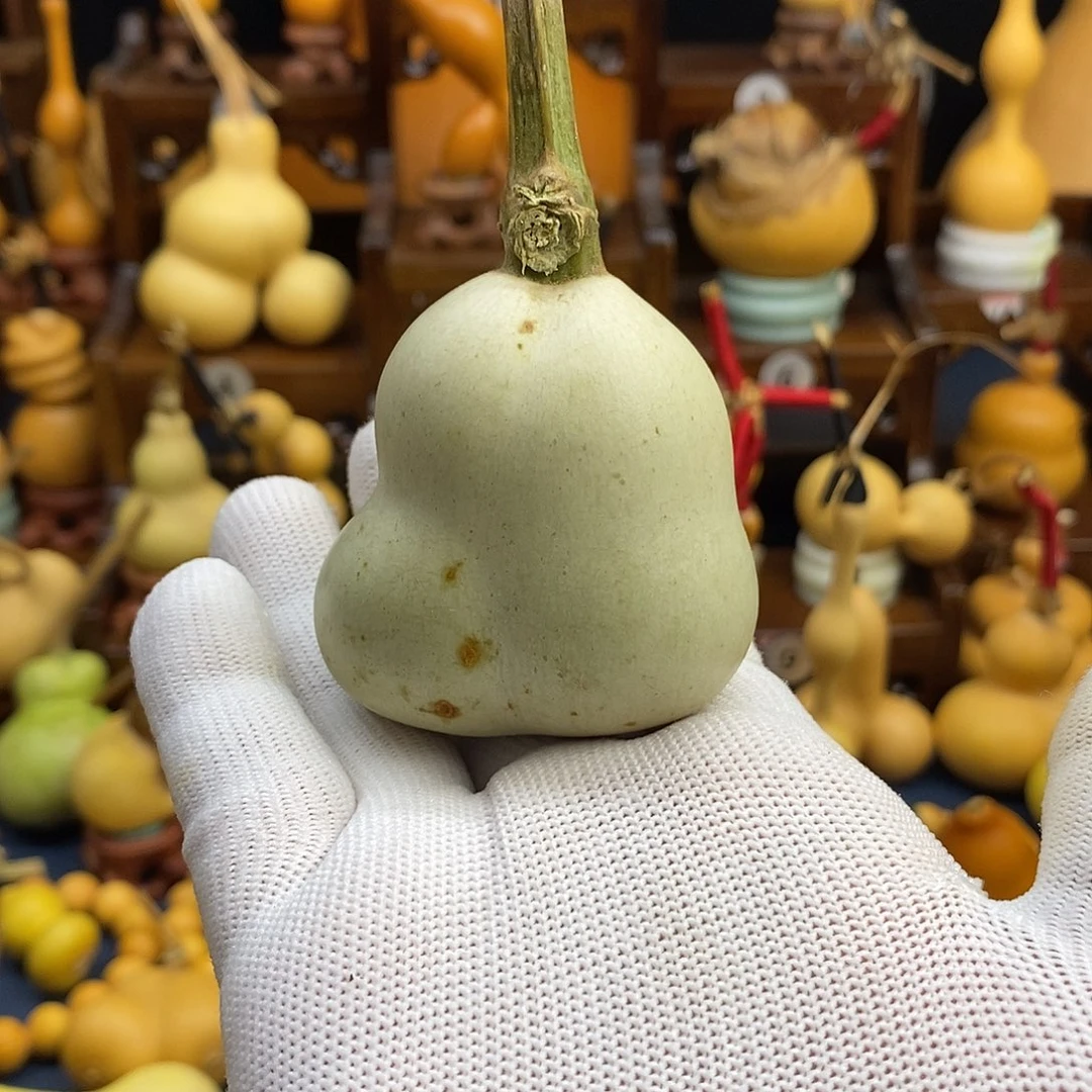 热***生文玩葫芦文玩葫芦