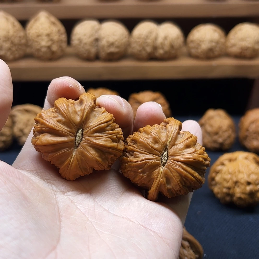 核桃把件白狮子41全品自玩