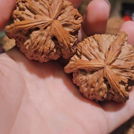 文玩核桃吊坠43+5精修工艺三楞