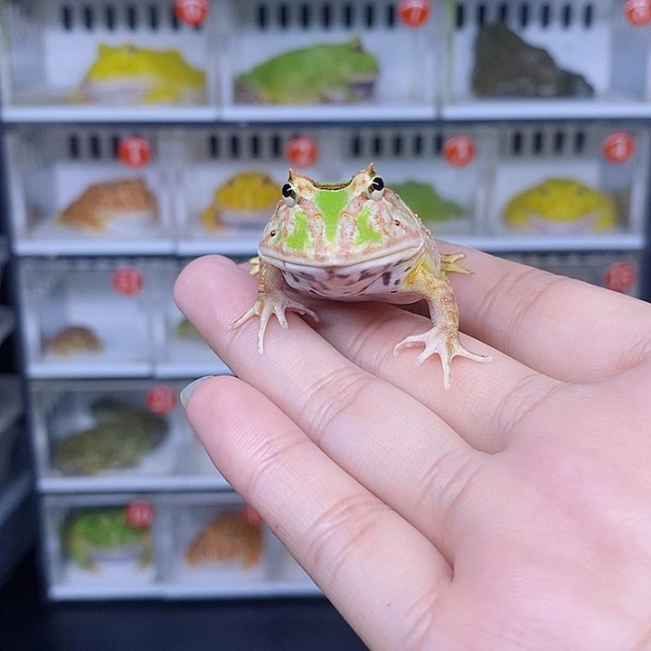 特价秒杀现货特价