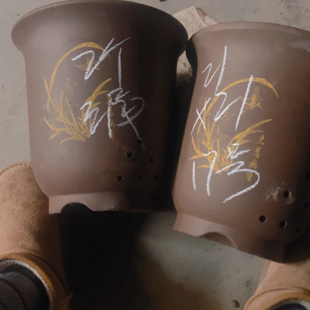 紫砂17号………………………………