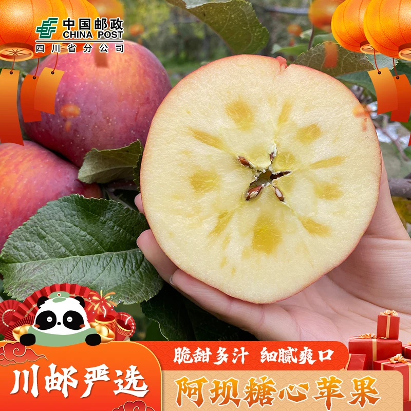 【川邮严选】阿坝州小金冰糖心高山苹果多汁脆甜水果新鲜当季