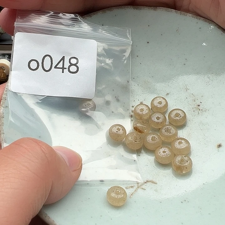 菩提根/象牙果手串