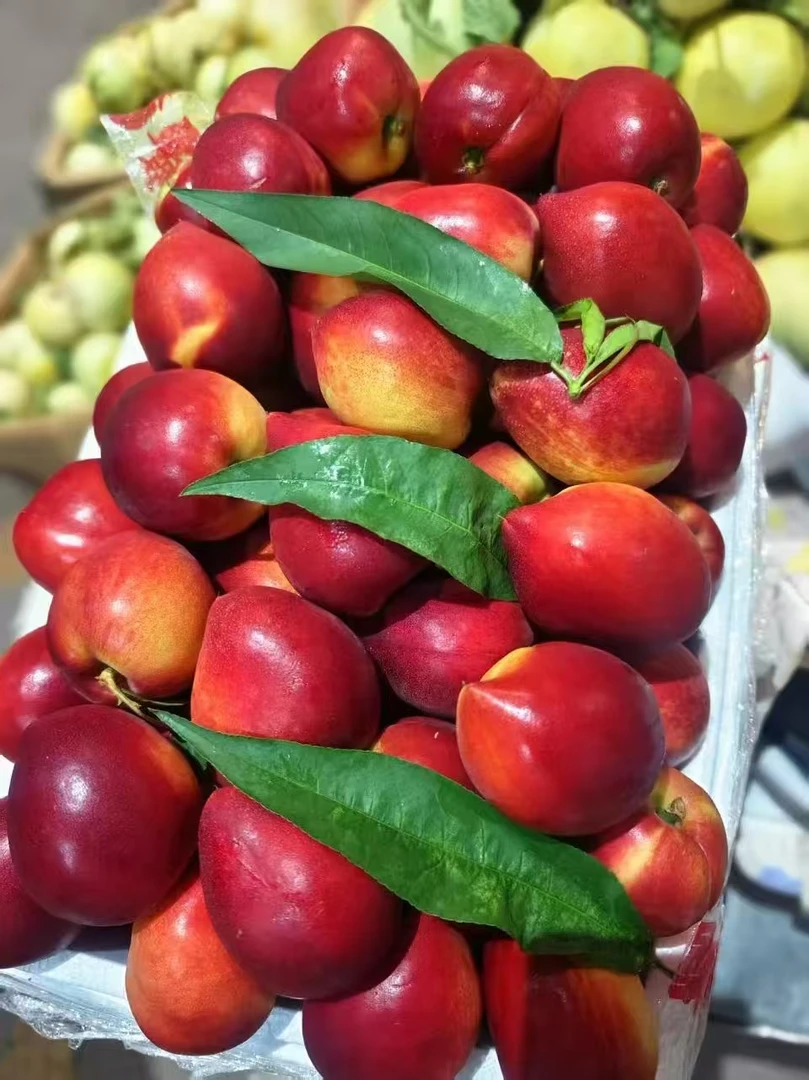 G云南玉龙雪山麻脸蜂蜜油桃净重3/5斤