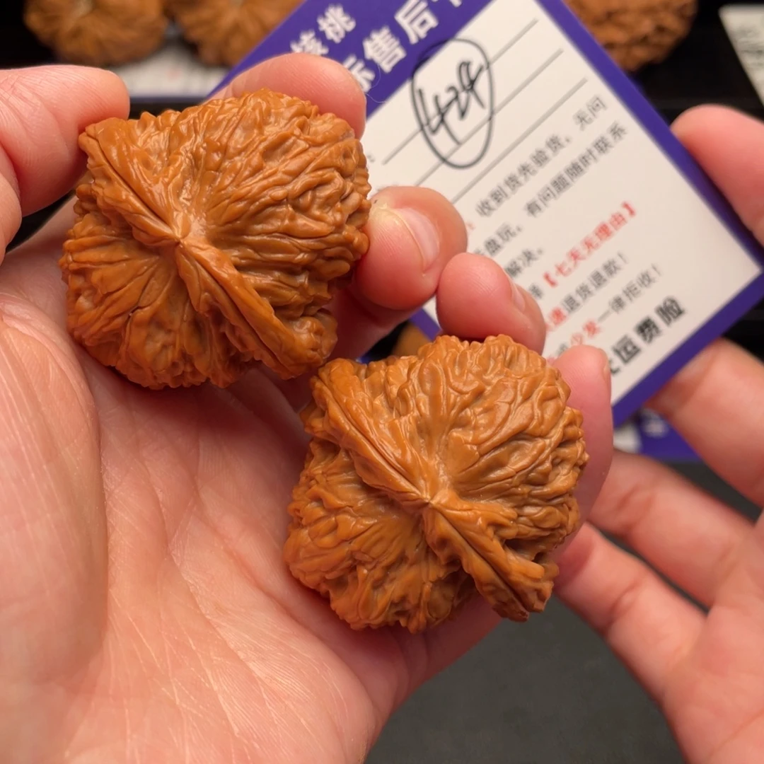 文玩核桃把件白狮子42