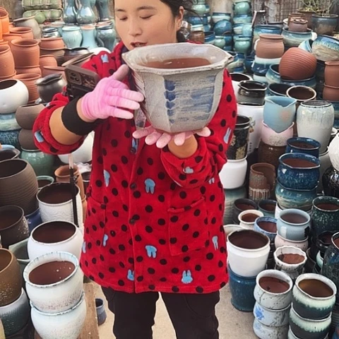 口21高15瑕疵一个盆子。