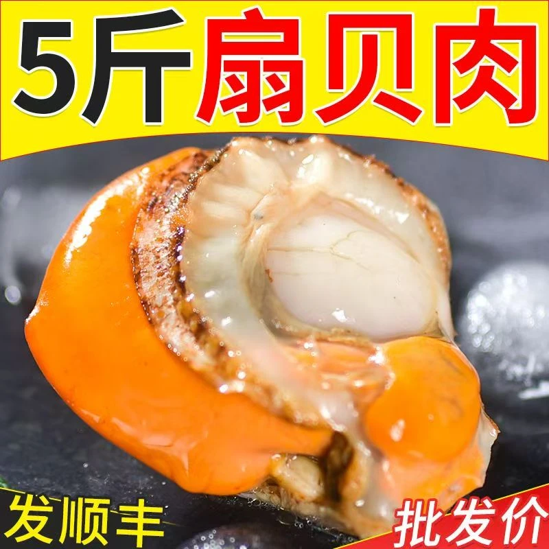【到手5包】新货新鲜熟冻扇贝肉纯肉品质5斤装 （顺丰包邮到家）