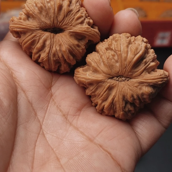 核桃泥鳅背41尺核桃