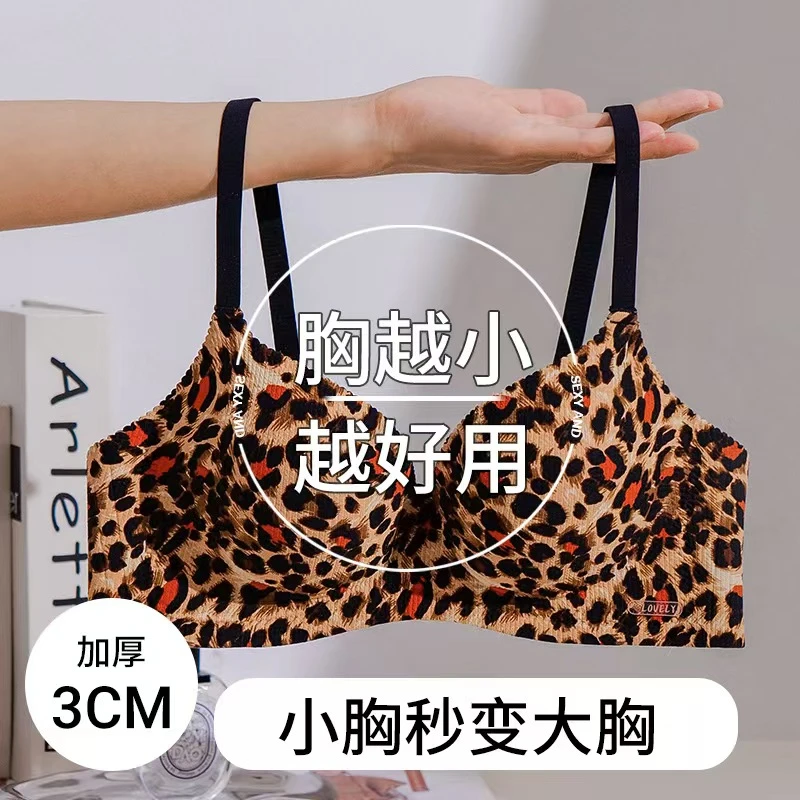 奢华上薄下厚收副乳聚拢文胸小胸上托大胸显小