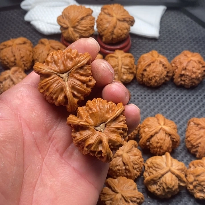 核桃把件独****歇拼接白狮子4