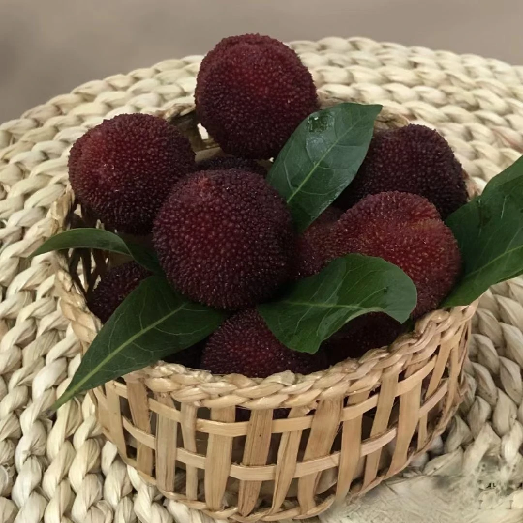 正宗仙居大棚东魁杨梅当季新鲜水果核少肉多现摘现发礼盒装