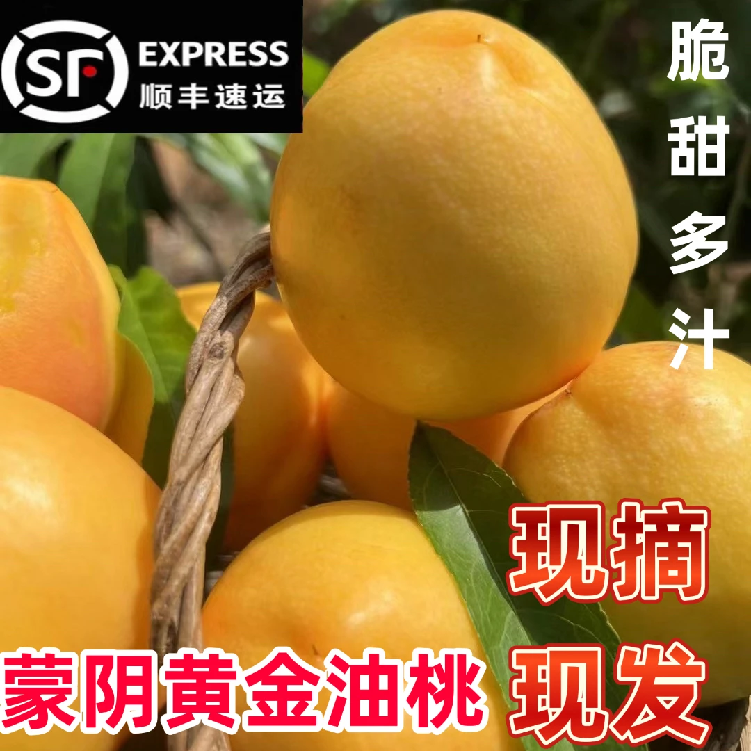 【顺丰包邮】蒙阴黄金油桃新鲜采摘当季头茬水果脆甜多汁坏果包赔