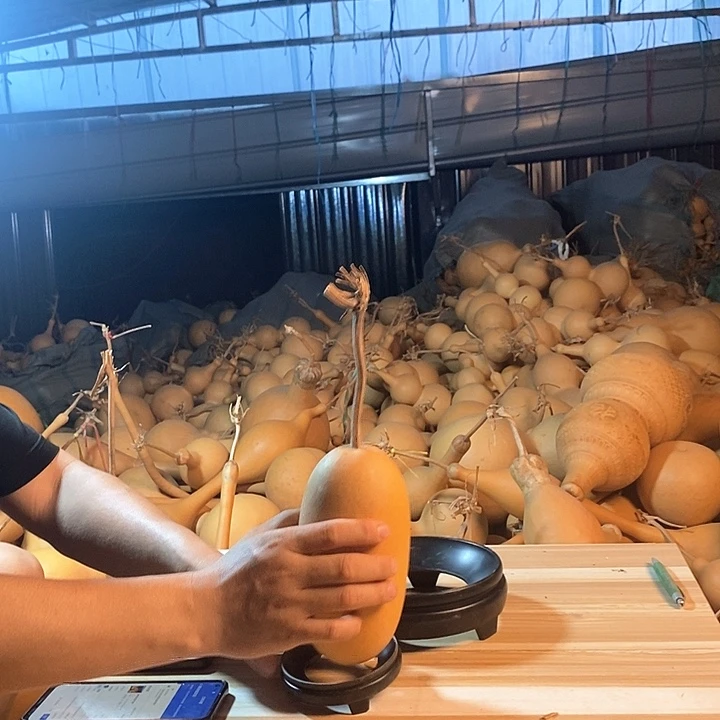 葫芦葫芦葫芦葫芦