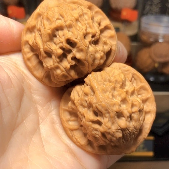 野生小众：梨木台货头