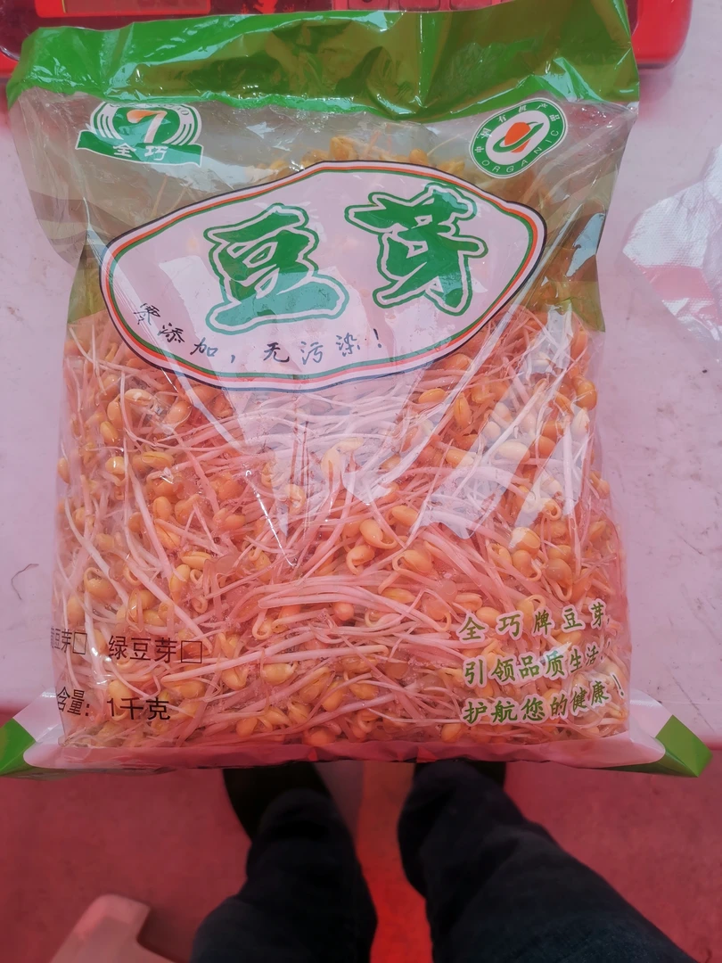 贵州高山有机黄豆芽
