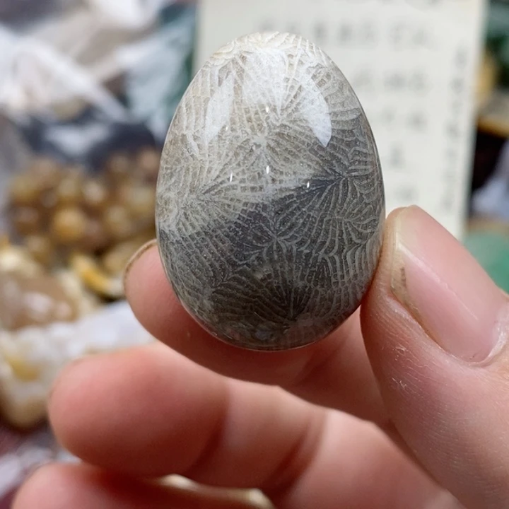 硅化珊瑚（珊瑚玉）未镶嵌颈饰有瑕