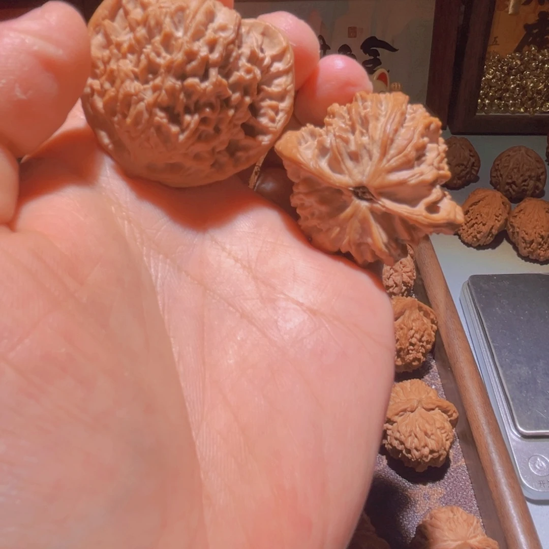 瑞麟文玩核桃山地无名野核
