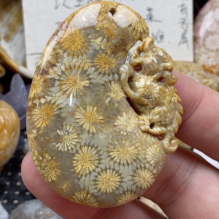 颈饰未镶嵌硅化珊瑚（珊瑚玉）