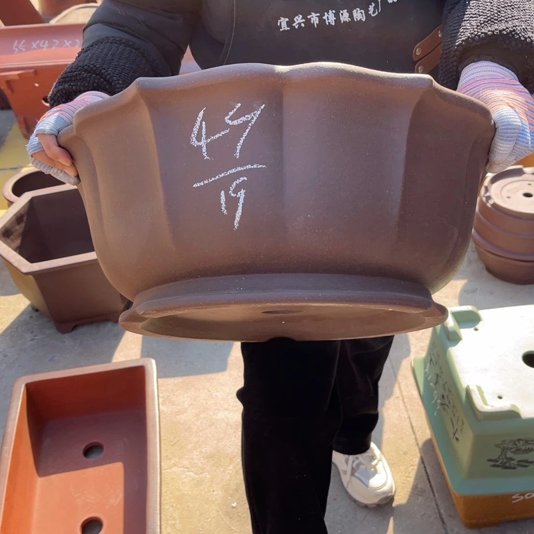 紫砂花盆盆景艺术