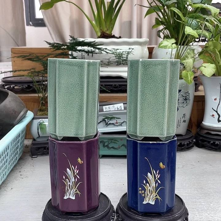 陶瓷花盆抢购福利活动