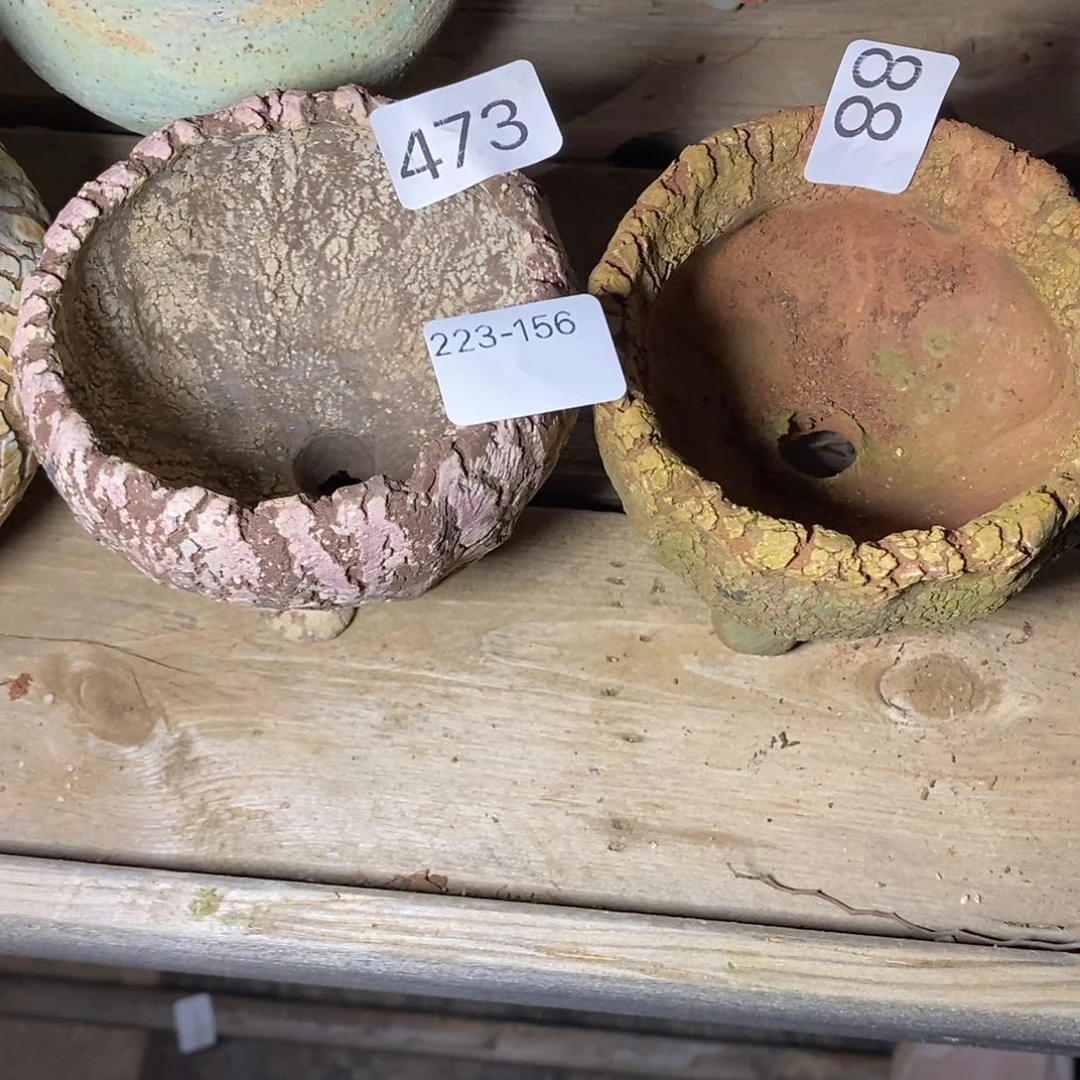 红陶@****洛156号多肉花盆两个