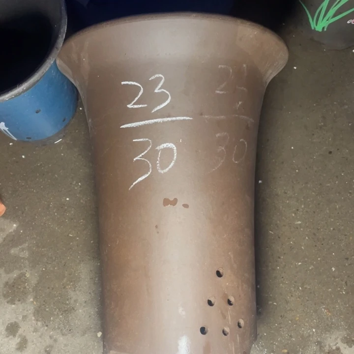 周深周深周深周深周深