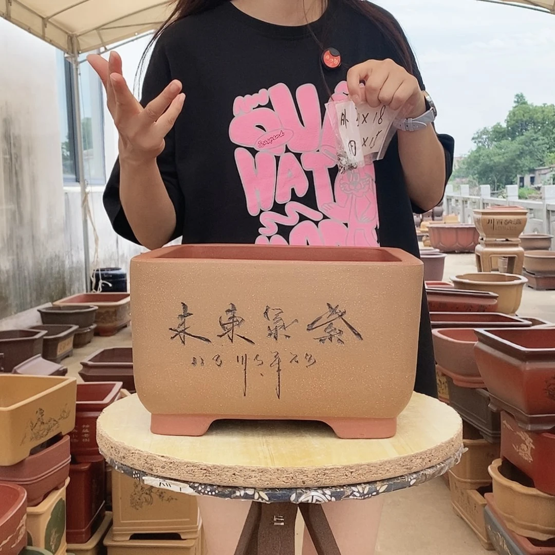 紫砂花盆紫砂花盆