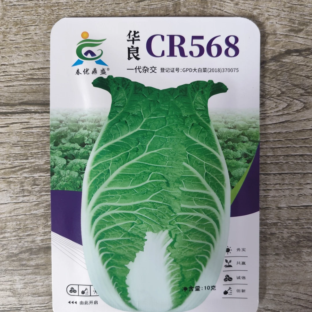 华良CR568大白菜种子抗根肿病霜霉病病毒病春秋季早熟白菜种籽