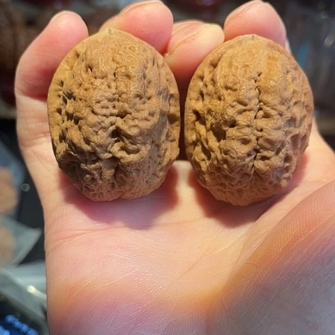 文玩核桃把件大理卧龙带彩39