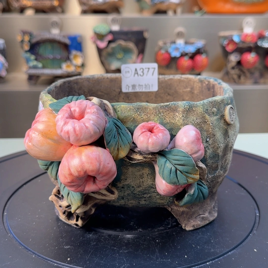 A377 【闪购】多肉花盆