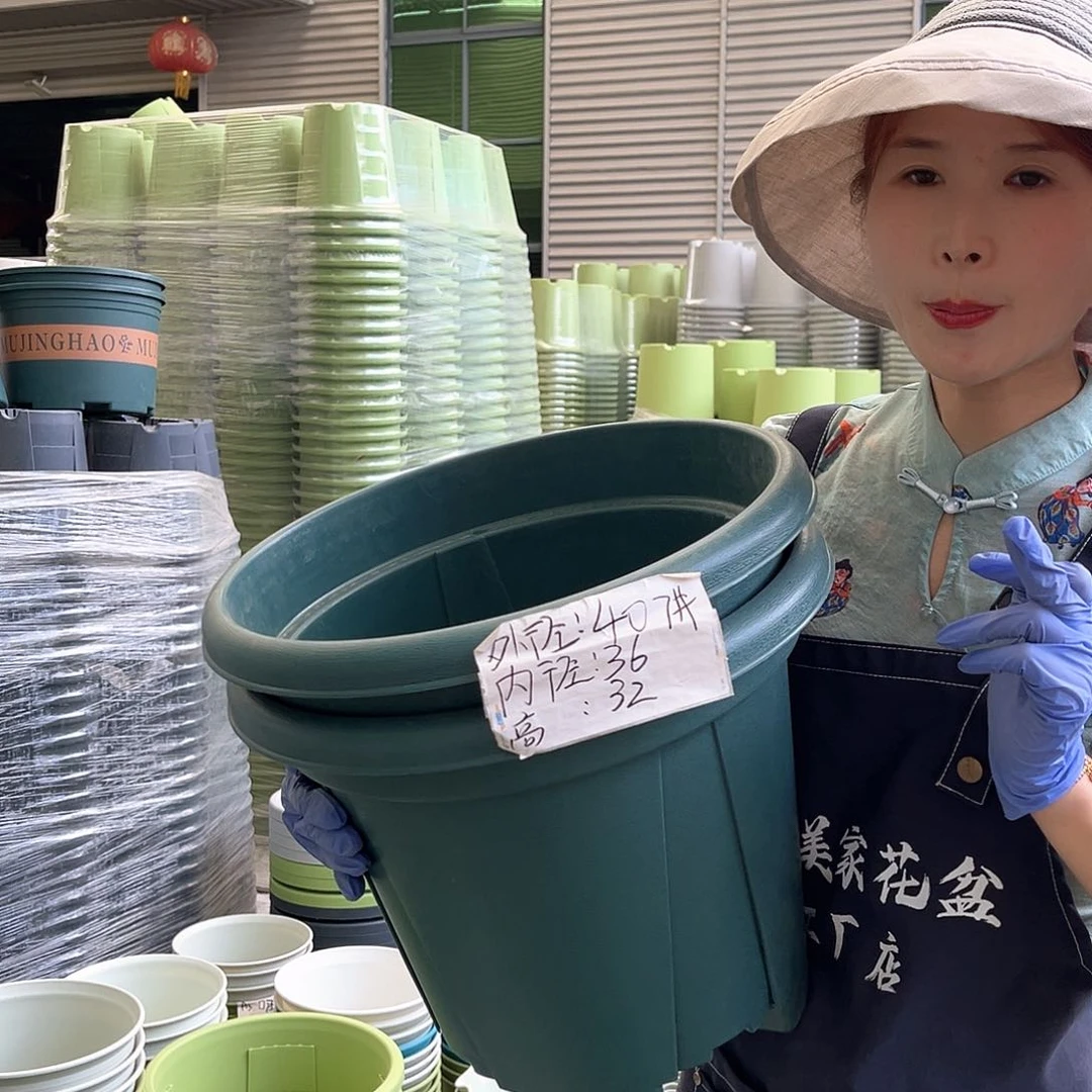 青山盆7#墨绿色5个无托