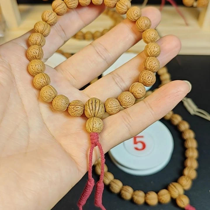 清***扬矮桩桃核手持9-10尺