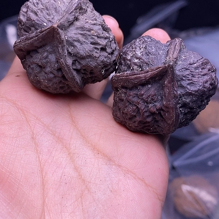把件文玩核桃   202