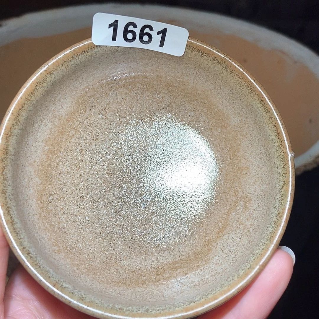 南***树茶盏8888885888588