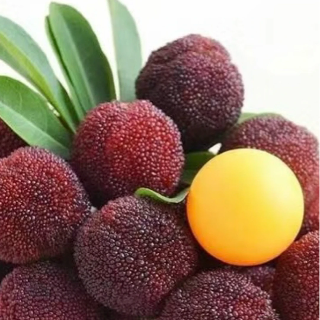 特价杨梅7.5一斤