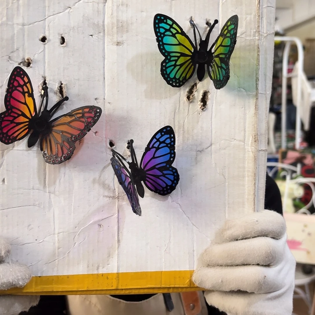 核桃木/黑胡桃（胡桃木）