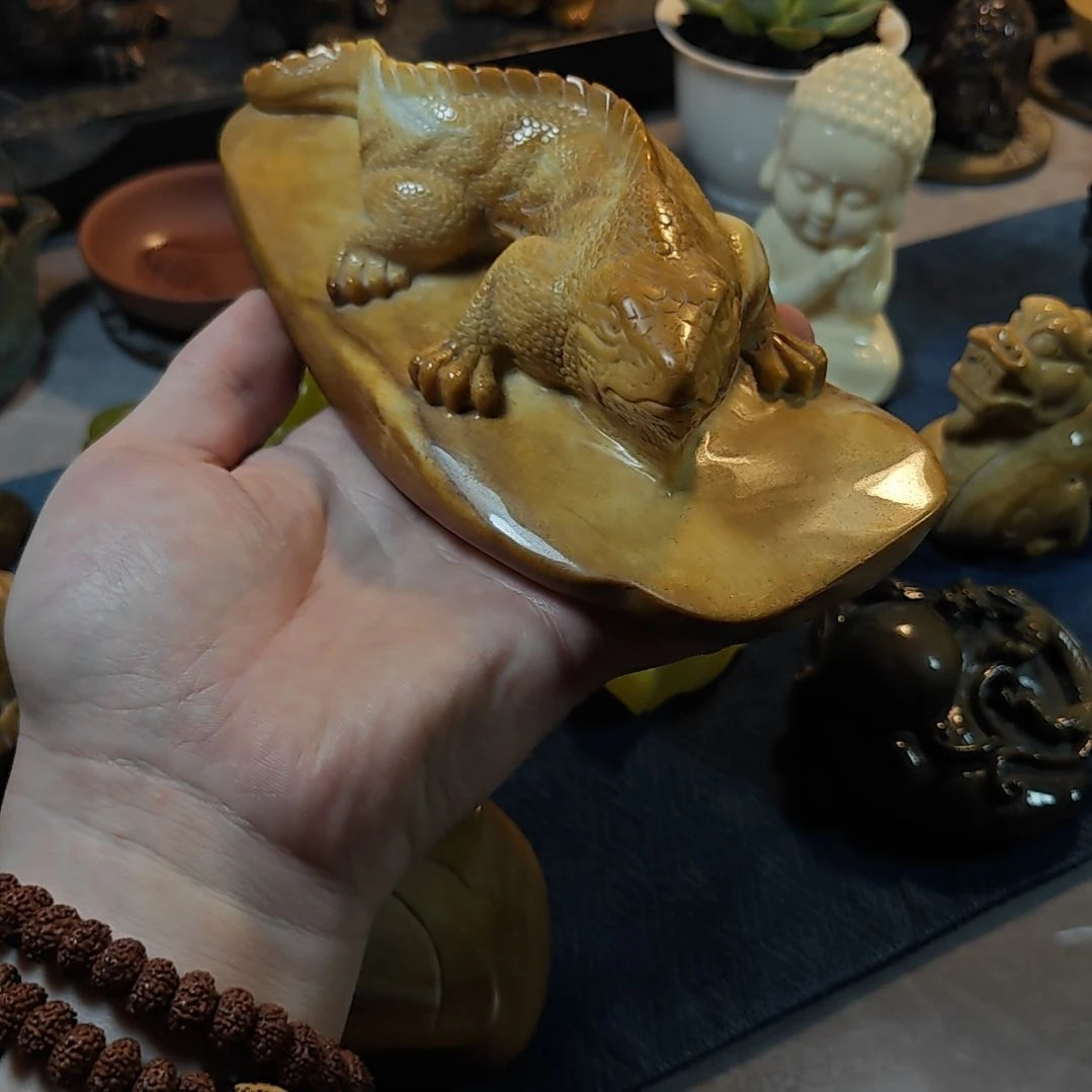 金沙玉金沙玉蜥蜴