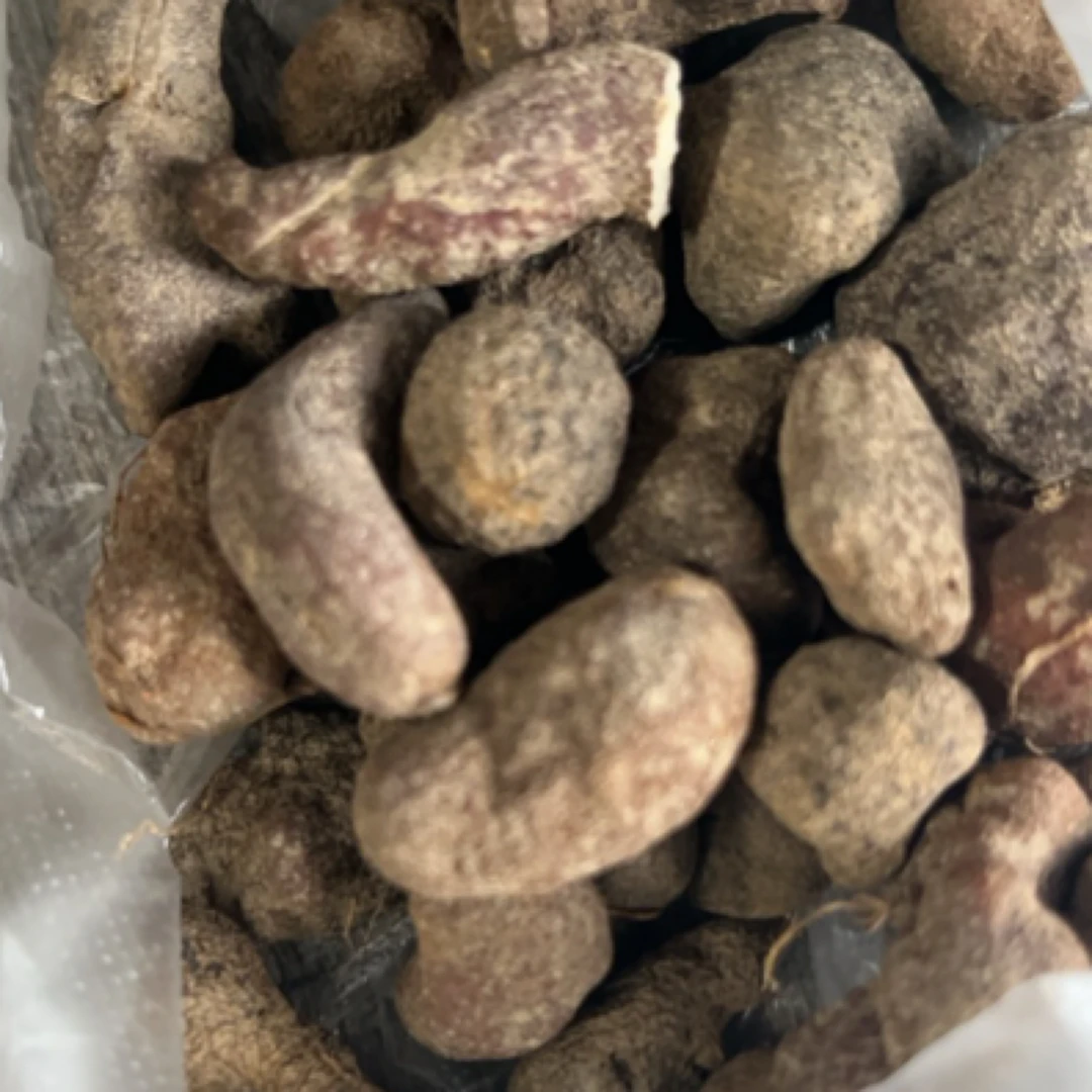 海对面高海拔黑球三灵