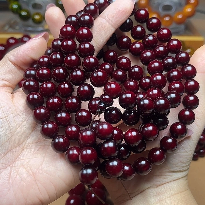 流***浪贝壳杉（血龙木）其他