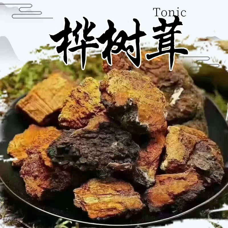 长白山人参特产桦树茸干(净重250克  500克)