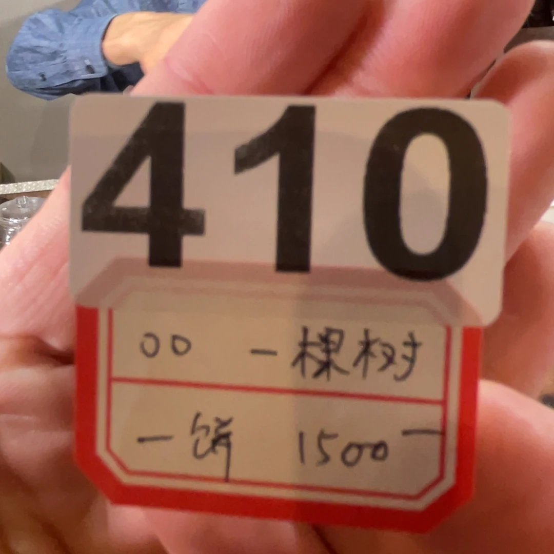 410………………………………………
