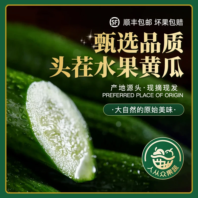顺丰包邮 | 寿光高品质水果黄瓜/清香爽口脆甜多汁/低热量无负担