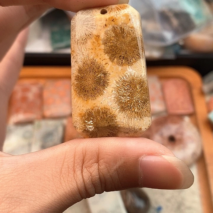硅化玉颈饰未镶嵌梦****作