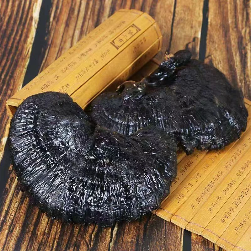 【乌蒙山货】云南下山货黑灵芝煮水泡酒煲汤