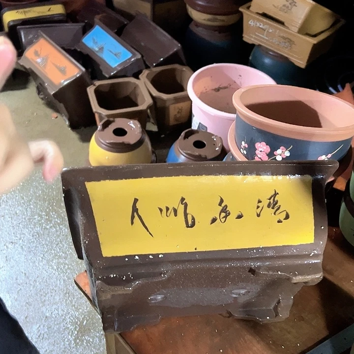 40黄马槽花盆花盆花盆