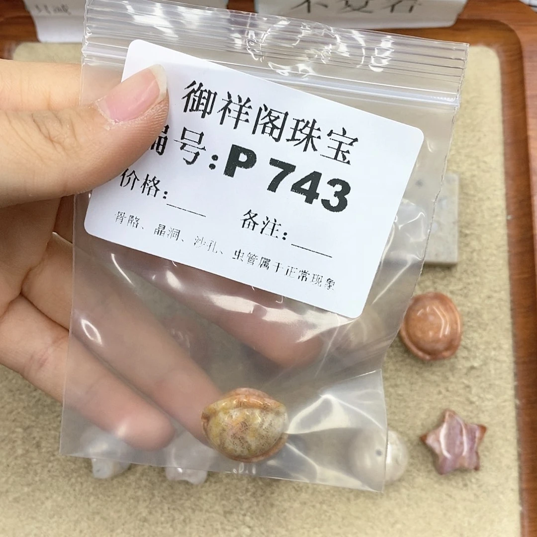 硅化珊瑚（珊瑚玉）P未镶嵌F**d