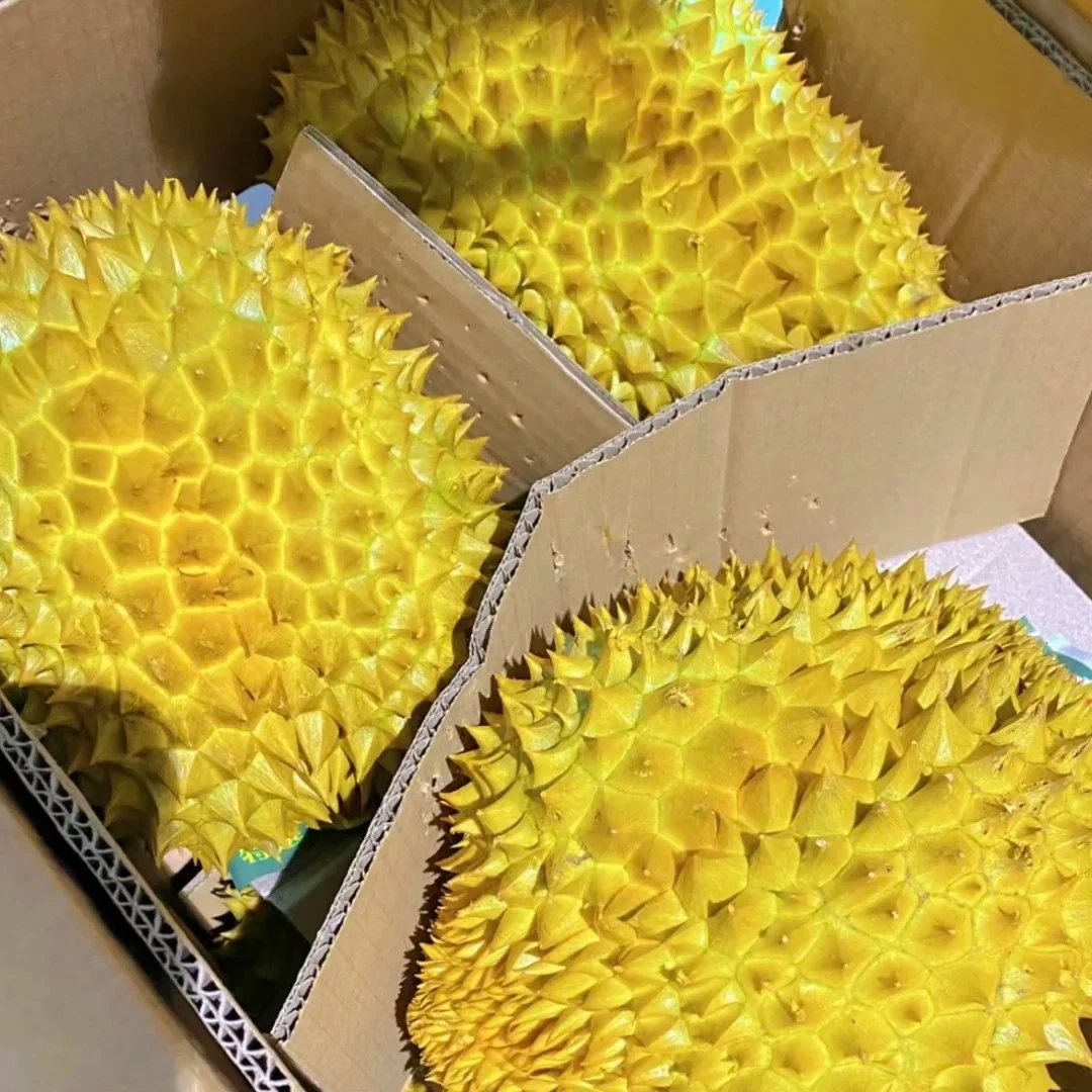 泰国金枕鲜榴莲 大果一个 约3000g 核小金枕泰国