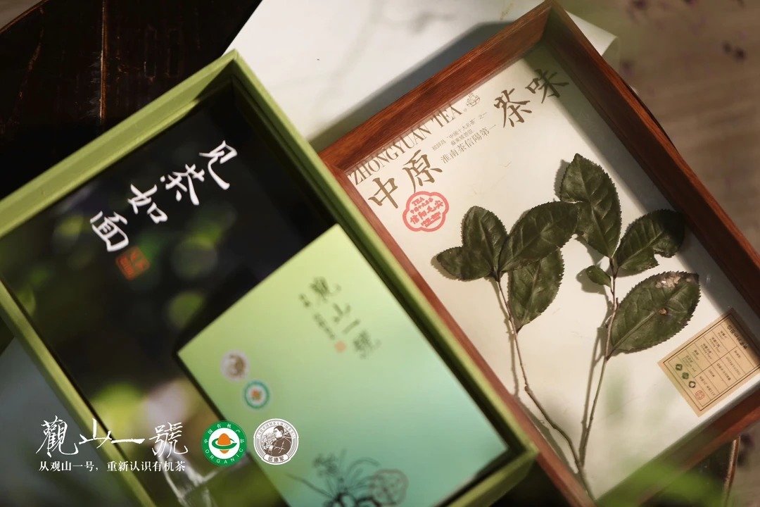 【观山一号】车云山 信阳有机毛尖 伍德军老师手作