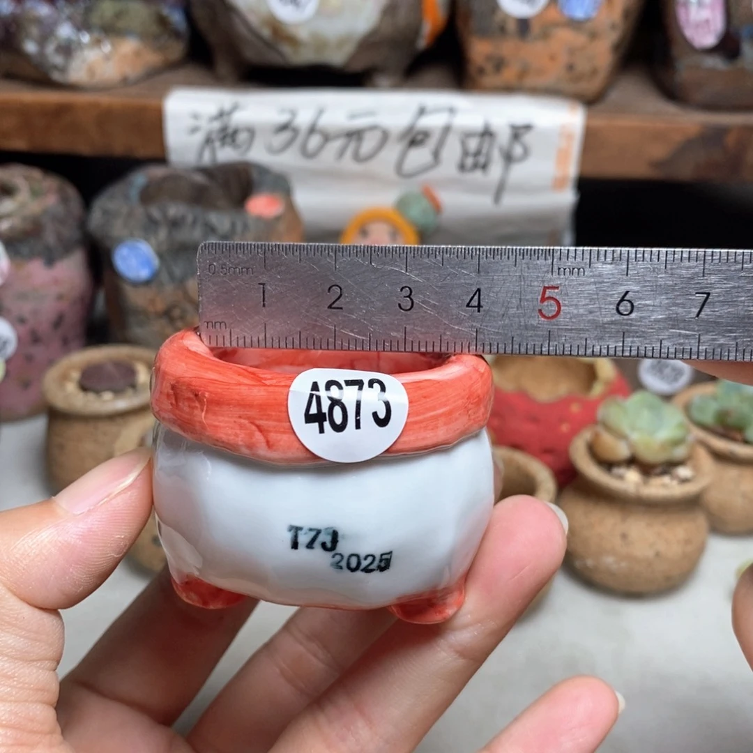 特价处理的，处理，处理