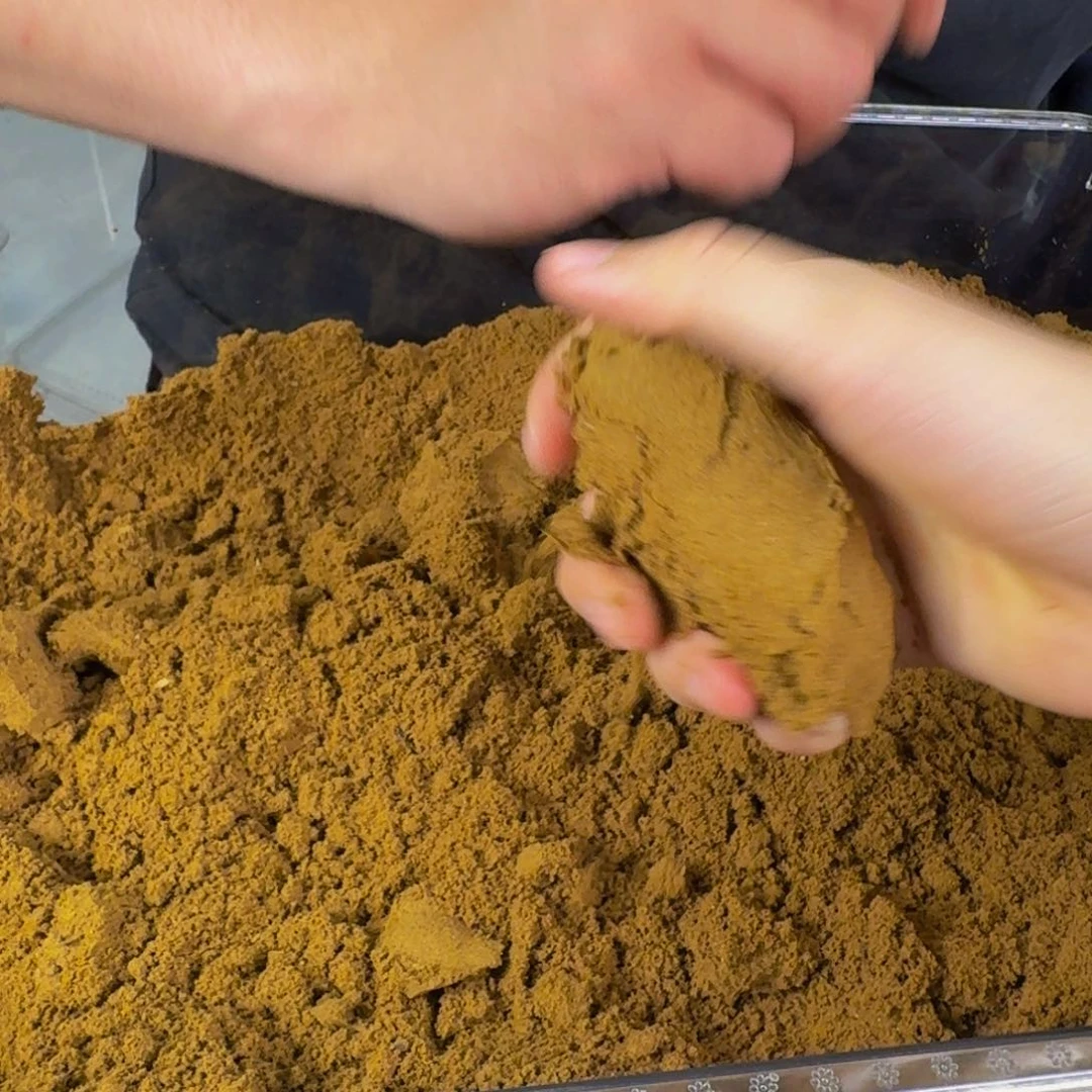 沉香沉香碎屑海南老白棋沉水粉105克